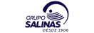 Grupo Salinas