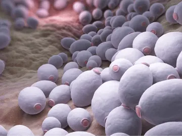 Ilustración microscópica de tejido bucal
