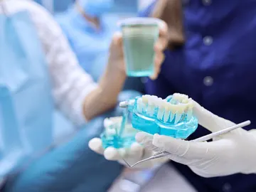 Modelo dental durante una limpieza